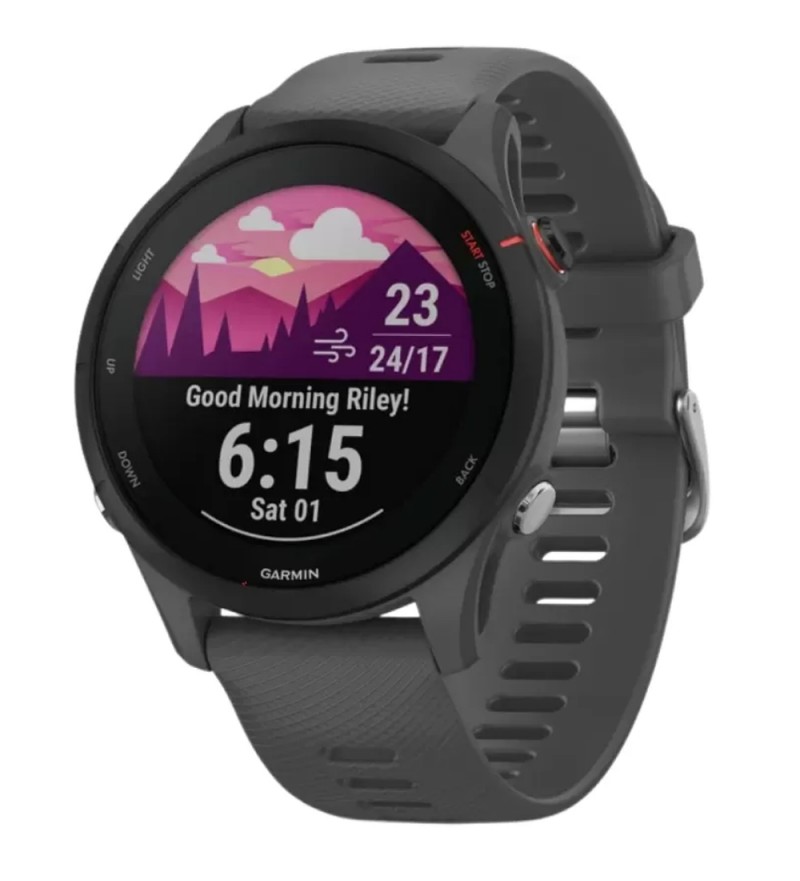 Reloj Gps Garmin Forerunner 255 46MM 010-02641-10- Stale Gray (Caja Fea) 