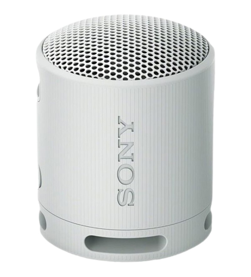 Speaker Portatil Sony SRS-XB100 - Gray