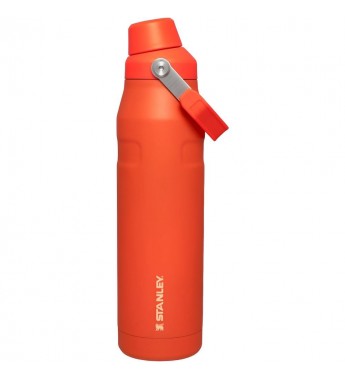 Termo Stanley The Aerolight Iceflow Bottle de 1.1L - Tigerlily