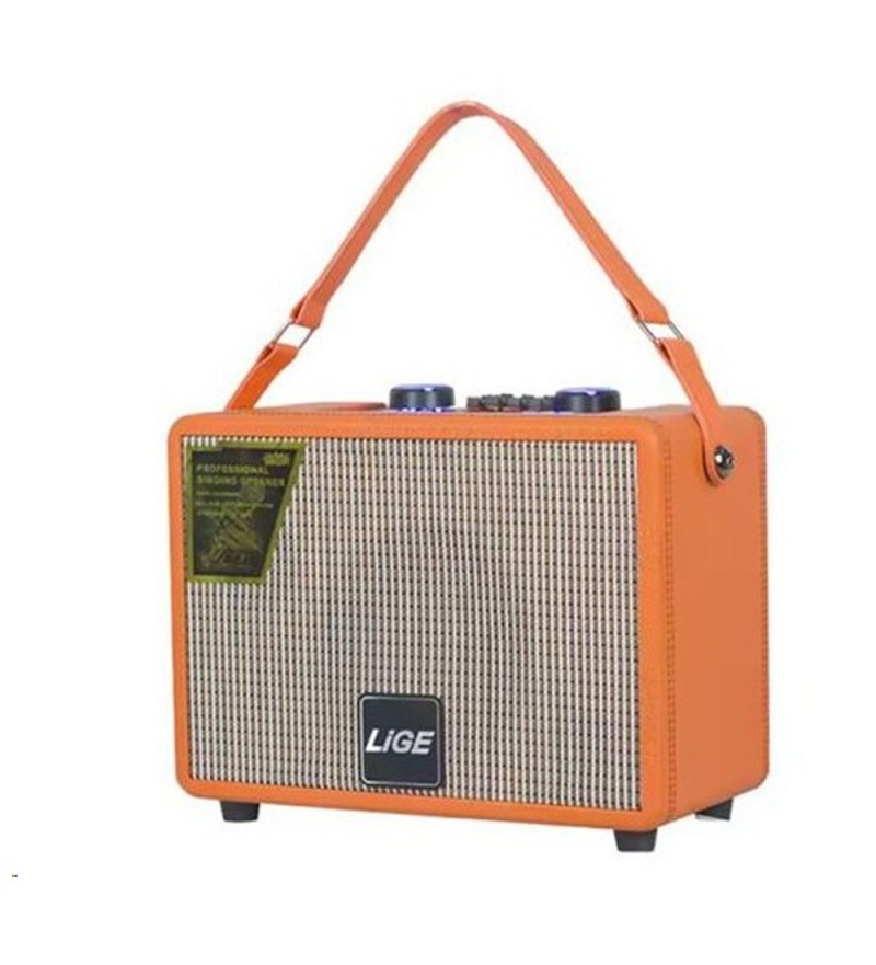 Speaker Lige 6 6500W/BT/USB/SD/FM/AUX-Orange (Caja Fea)